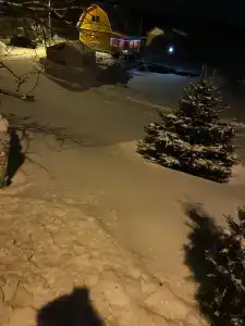 Лотос - 8