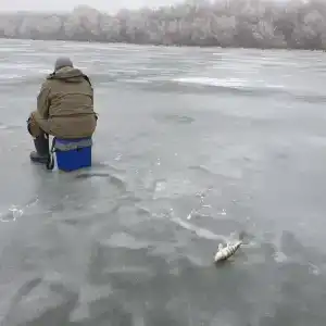 Промысловая - 70