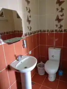 Белый Хорват - 9