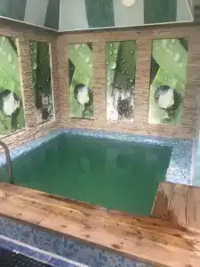 Южный - 9