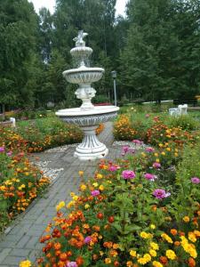 Новый источник - 61
