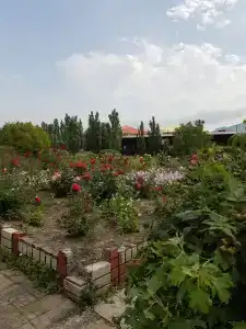 Салют - 45