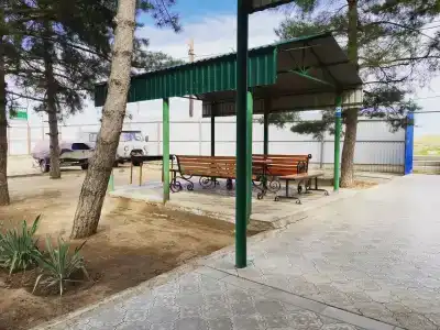Скиф - 13