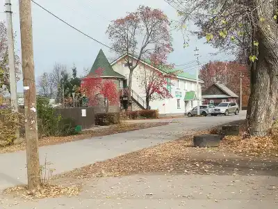 Медведь - 5