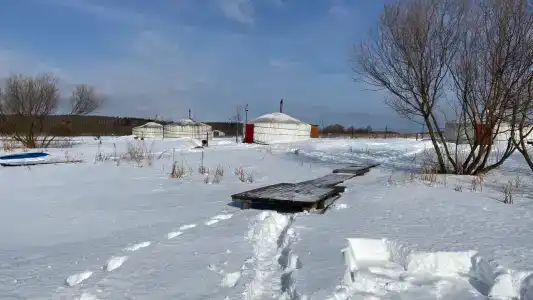 Баскак - 55