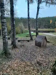Динамо - 12