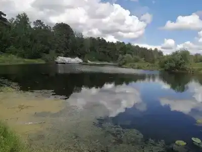 Жемчужный - 2