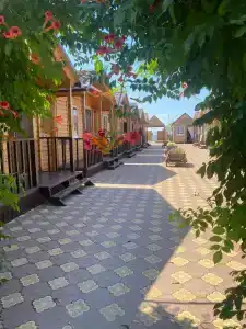 Виста - 45