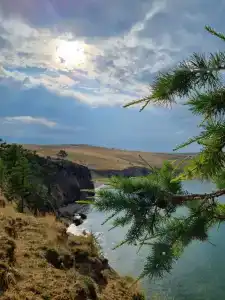 Байкал-Бабр - 15