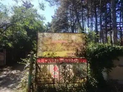 Сосновый бор - 17