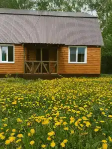 Березка - 1