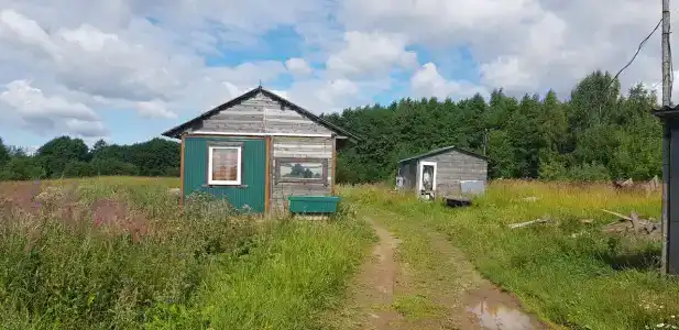 Щеберино - 9