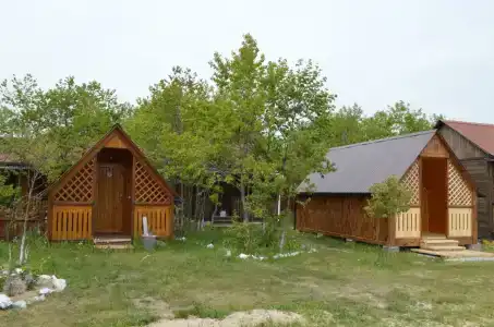 Фламинго - 37