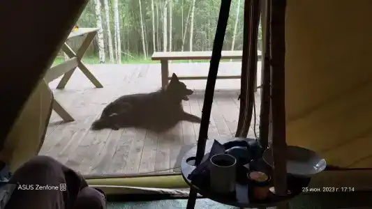 Удачное Кемп - 51