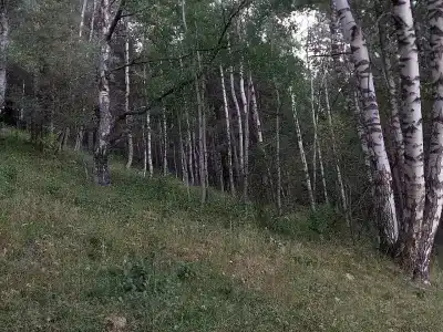 Тебердом - 13