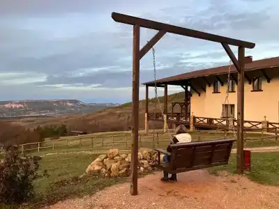 Shale Alpine House - 10