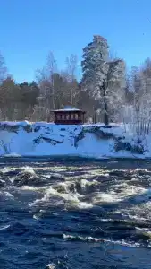 The Lagom - 28