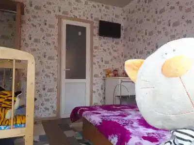 Алиса - 15