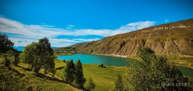 Kamaludinov - 0