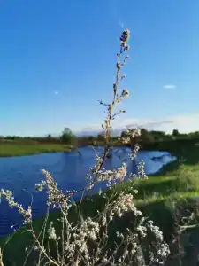 Отдых у реки - 72