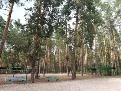 Сура - 19