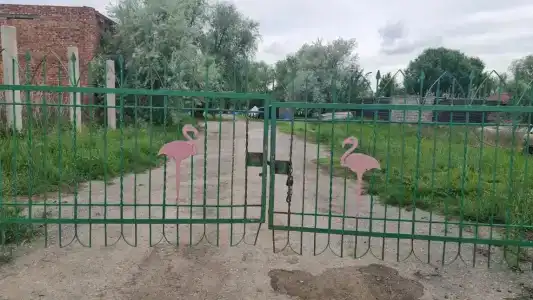 Розовый Фламинго - 9