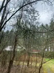 Княжья речка - 78