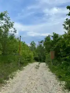 Лесная сказка - 20