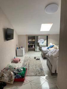 Пальмира - 71