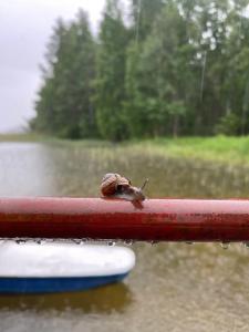 Авиаретро - 40