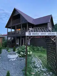 Белый Аист - 50