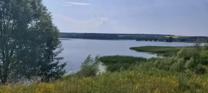 Затон - 5