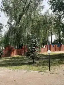 Олимп - 4