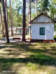 Чайка - 7