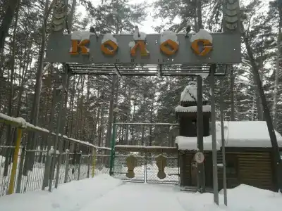 Колос - 34