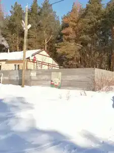 Домик в лесу - 33
