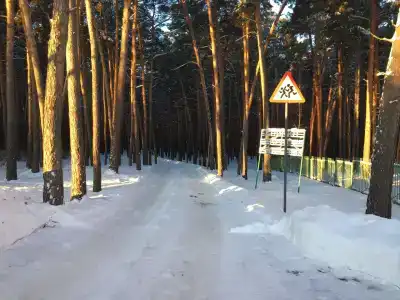 База отдыха им. Покрышкина - 37