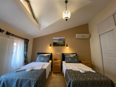 Portakal Dalyan - 56