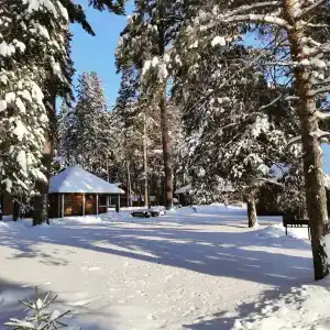 Олимп - 16