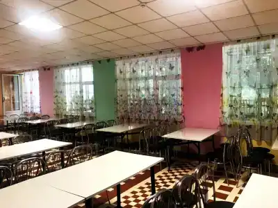 Кипарис - 23