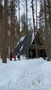 The Lagom - 29