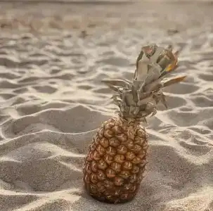 VillaSunriseKerch - 34