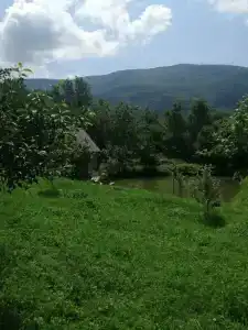 База отдыха у Иваныча - 48