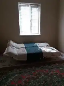 Меркурий - 7