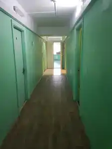 Фиона - 0