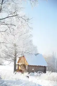 Северная надежда - 47