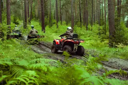 Червоное - 6