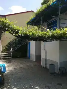 Амурчанка - 5