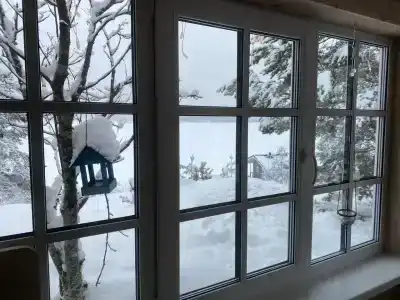 Зайкина дача - 7