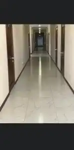Орёл +3 - 5